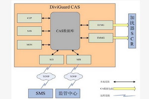 条件接收系统(CAS)