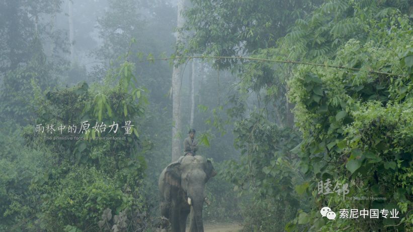 云南台奔赴《睦邻》缅甸的拍摄历程与心得 - 传播与制作 - 依马狮传媒旗下品牌