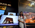 Cinegy携手夏普在IBC 2019展示实时8K视讯编辑和显示功能